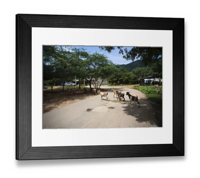 Framed Print : South America, Colombia Framed Print : South America, Colombia