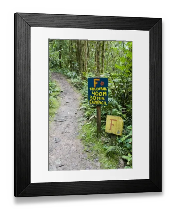Framed Print : Central America, Ecuador Framed Print : Central America, Ecuador