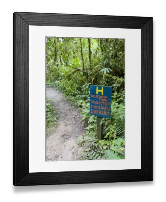 Framed Print : Central America, Ecuador Framed Print : Central America, Ecuador