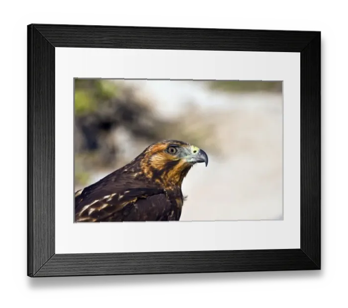 Framed Print : Central America, Ecuador Framed Print : Central America, Ecuador
