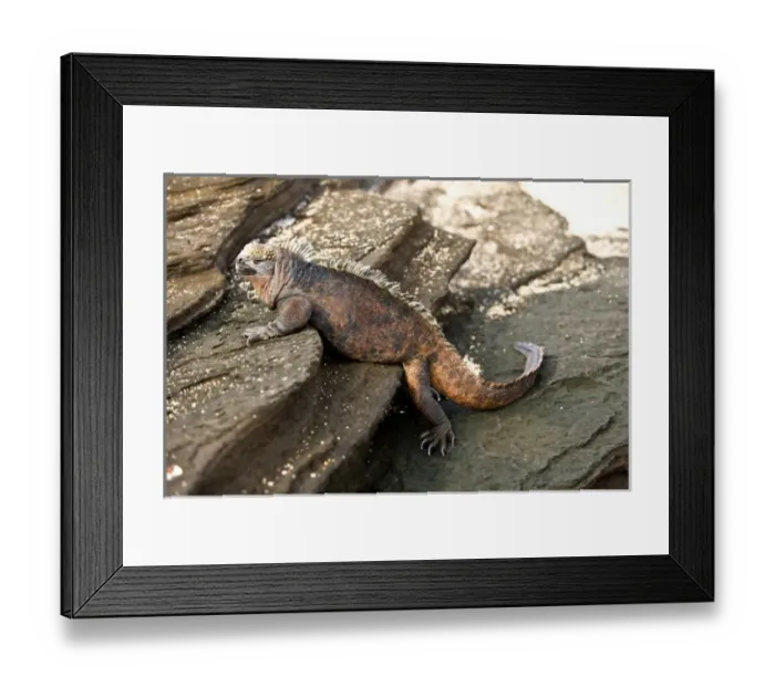 Framed Print : Central America, Ecuador Framed Print : Central America, Ecuador