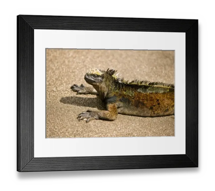 Framed Print : Central America, Ecuador Framed Print : Central America, Ecuador