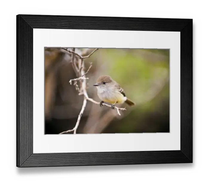Framed Print : Central America, Ecuador Framed Print : Central America, Ecuador