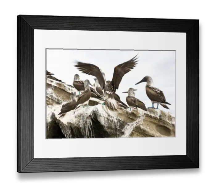 Framed Print : Central America, Ecuador Framed Print : Central America, Ecuador