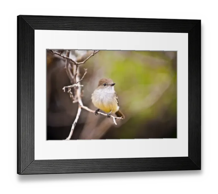 Framed Print : Central America, Ecuador Framed Print : Central America, Ecuador
