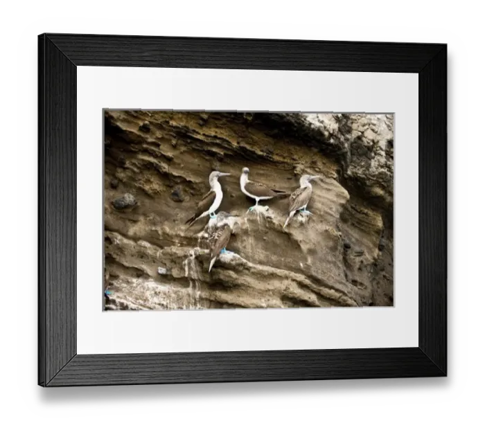 Framed Print : Central America, Ecuador