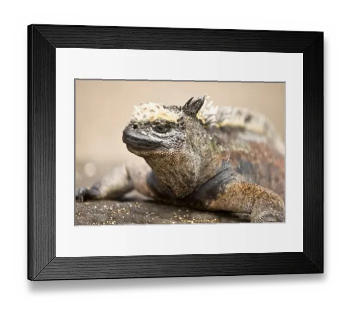 Framed Print : Central America, Ecuador Framed Print : Central America, Ecuador