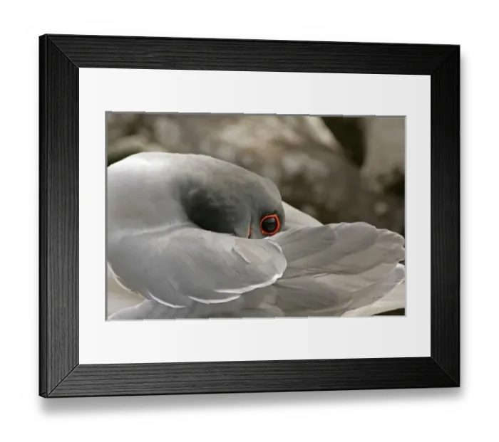 Framed Print : Central America, Ecuador Framed Print : Central America, Ecuador