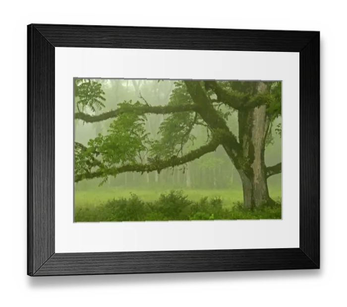 Framed Print : Central America, Ecuador Framed Print : Central America, Ecuador