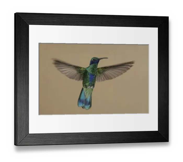 Framed Print : Central America, Ecuador Framed Print : Central America, Ecuador