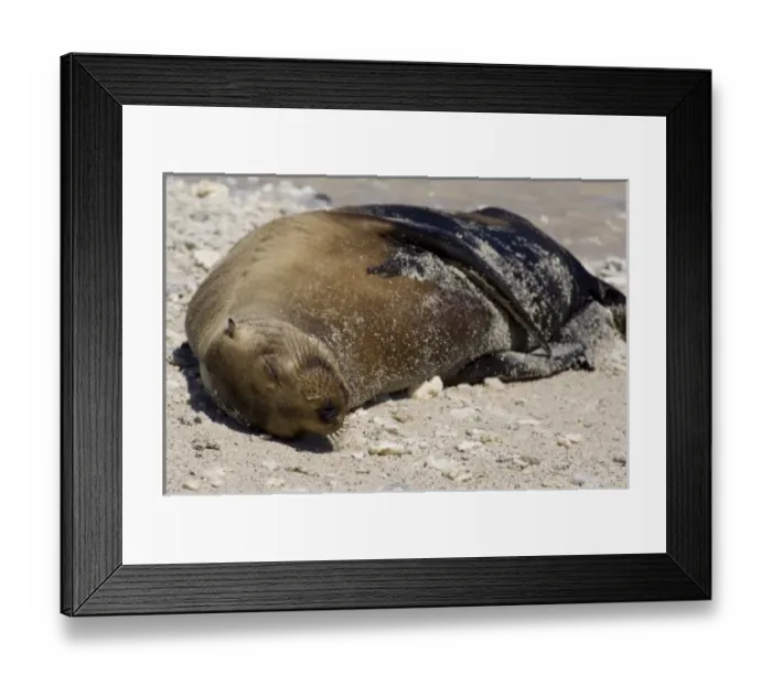 Framed Print : Central America, Ecuador