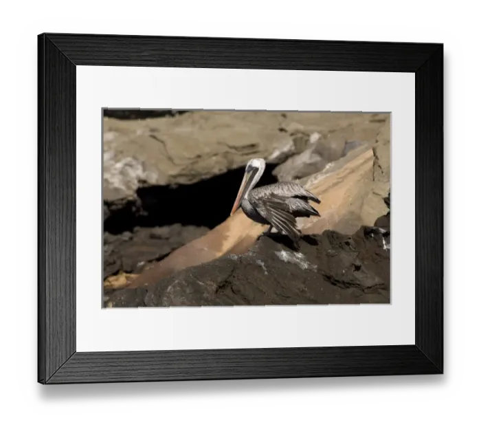 Framed Print : Central America, Ecuador