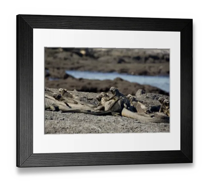 Framed Print : Central America, Ecuador Framed Print : Central America, Ecuador