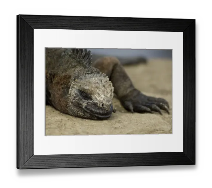 Framed Print : Central America, Ecuador Framed Print : Central America, Ecuador