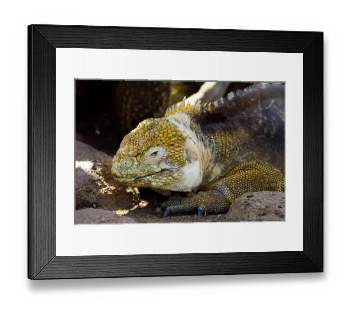 Framed Print : Central America, Ecuador Framed Print : Central America, Ecuador