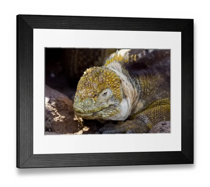 Framed Print : Central America, Ecuador