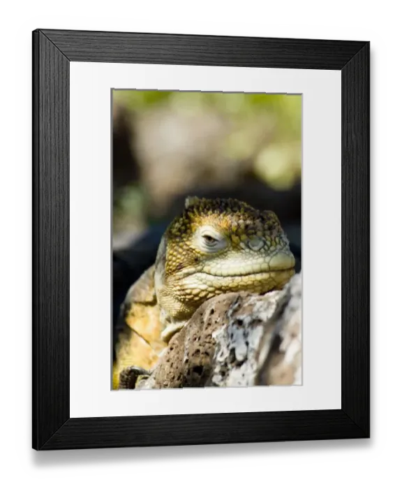 Framed Print : Central America, Ecuador Framed Print : Central America, Ecuador