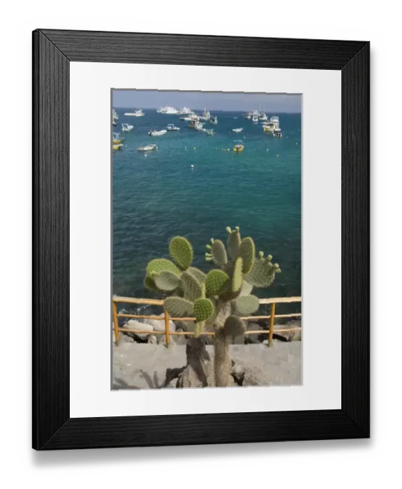 Framed Print : Ecuador, Galapagos, San Cristobal Island. Port city of Puerto Baquerizo Moreno located on Wreck Bay Framed Print : Ecuador, Galapagos, San Cristobal Island. Port city of Puerto Baquerizo Moreno located on Wreck Bay