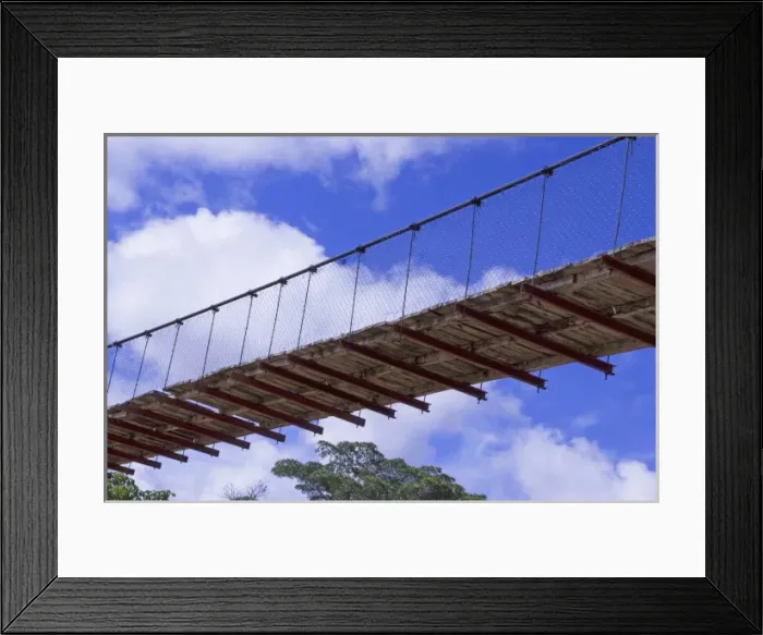Framed Print : Ecuador, Amazon Rainforest, Curaray River. Paddling under a suspension bridge by Framed Print : Ecuador, Amazon Rainforest, Curaray River. Paddling under a suspension bridge by