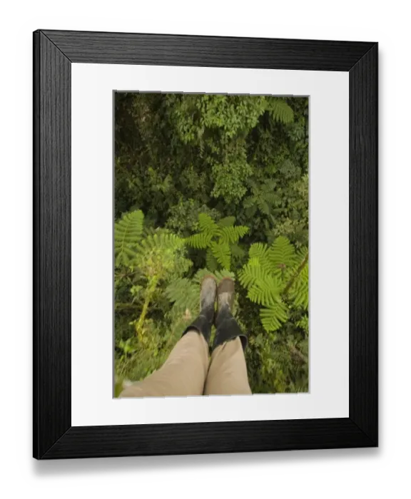 Framed Print : Central America, Ecuador