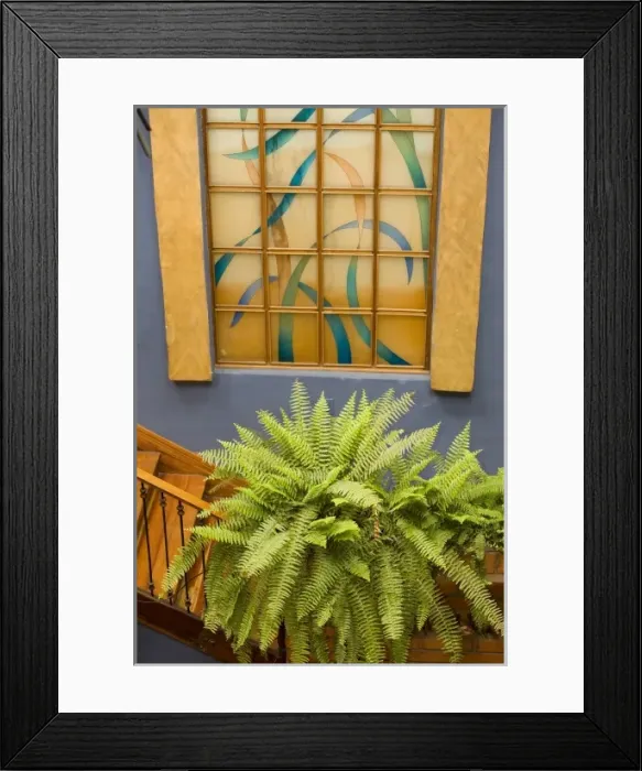 Framed Print : Central America, Ecuador Framed Print : Central America, Ecuador