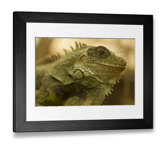 Framed Print : Central America, Ecuador Framed Print : Central America, Ecuador