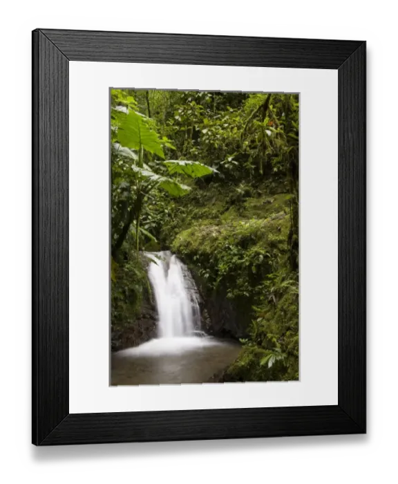 Framed Print : Central America, Ecuador Framed Print : Central America, Ecuador