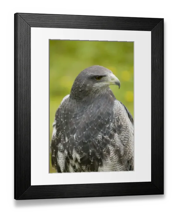 Framed Print : Central America, Ecuador Framed Print : Central America, Ecuador