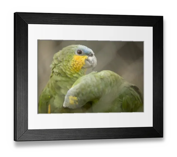 Framed Print : Central America, Ecuador