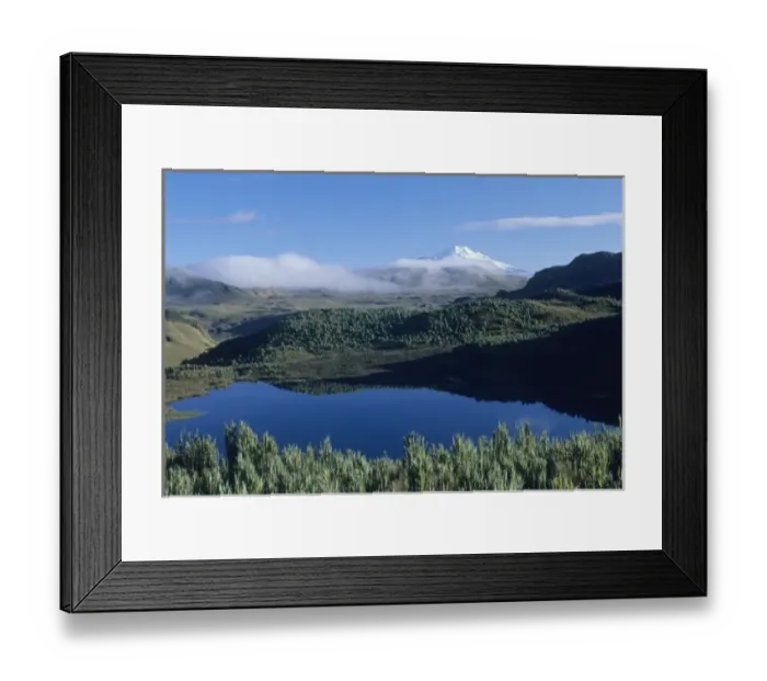 Framed Print : Ecuador, Andes mountains, Cayambe-Coca Reserve, ca. 3500m, Paramo and Cayambe Volcano, 5790m Framed Print : Ecuador, Andes mountains, Cayambe-Coca Reserve, ca. 3500m, Paramo and Cayambe Volcano, 5790m