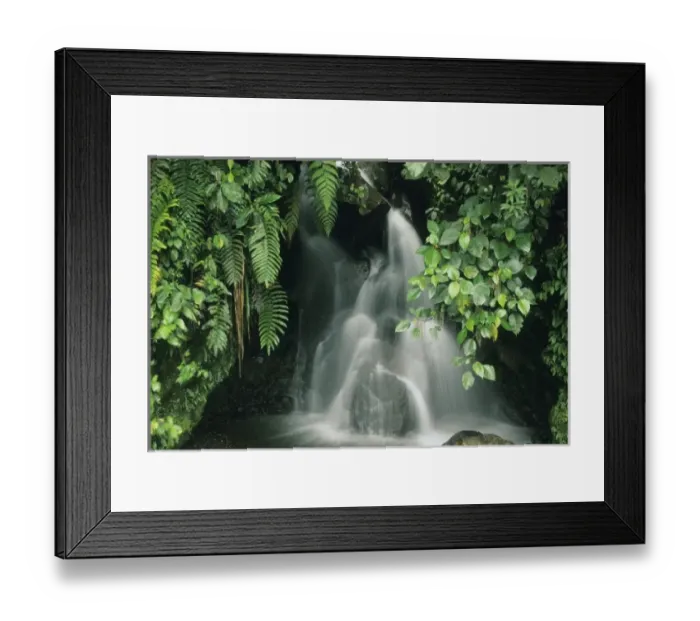 Framed Print : Ecuador, Andes, Cayambe-Coca Nature Reserve, 1400m, small rainforest stream Framed Print : Ecuador, Andes, Cayambe-Coca Nature Reserve, 1400m, small rainforest stream