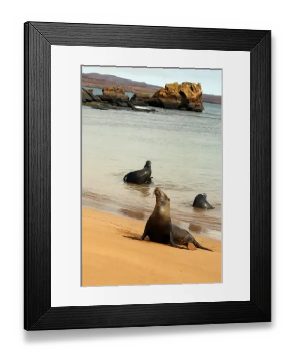 Framed Print : Central America, Ecuador Framed Print : Central America, Ecuador