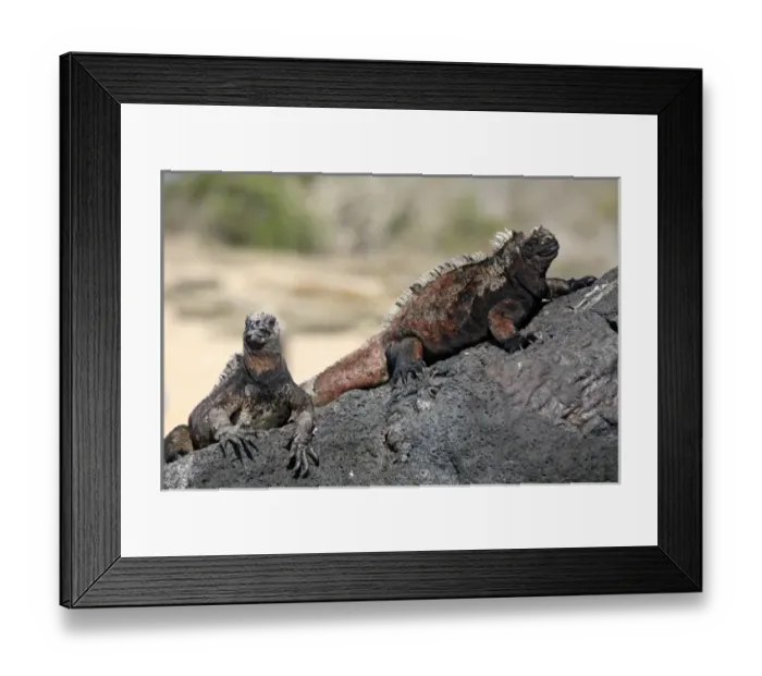 Framed Print : Central America, Ecuador Framed Print : Central America, Ecuador