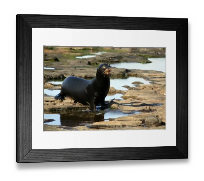 Framed Print : Central America, Ecuador Framed Print : Central America, Ecuador