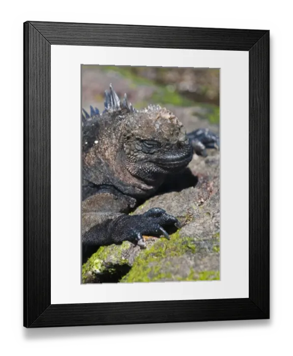 Framed Print : Central America, Ecuador Framed Print : Central America, Ecuador