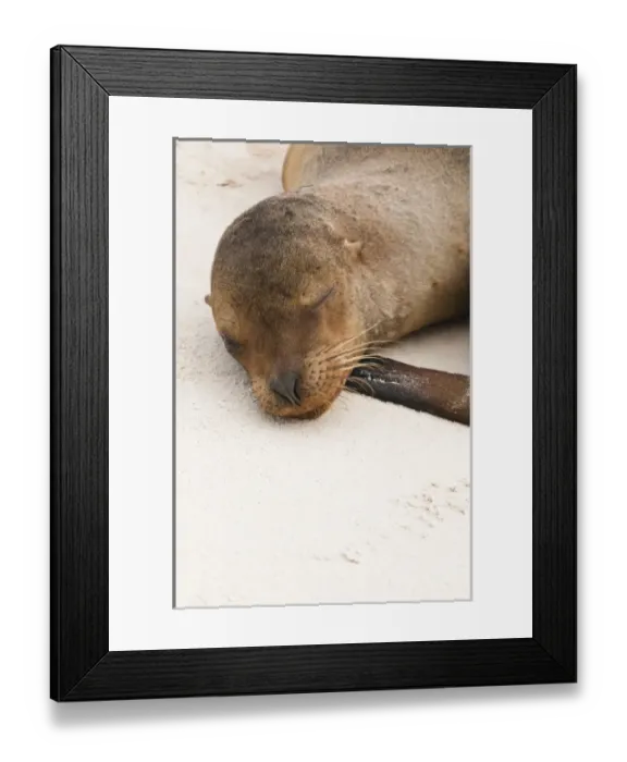 Framed Print : Central America, Ecuador