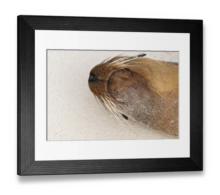 Framed Print : Central America, Ecuador