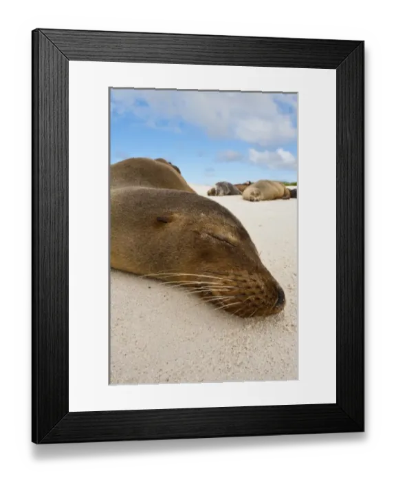 Framed Print : Central America, Ecuador Framed Print : Central America, Ecuador