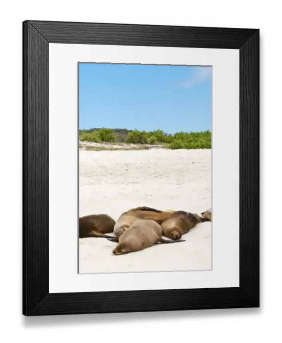 Framed Print : Central America, Ecuador Framed Print : Central America, Ecuador