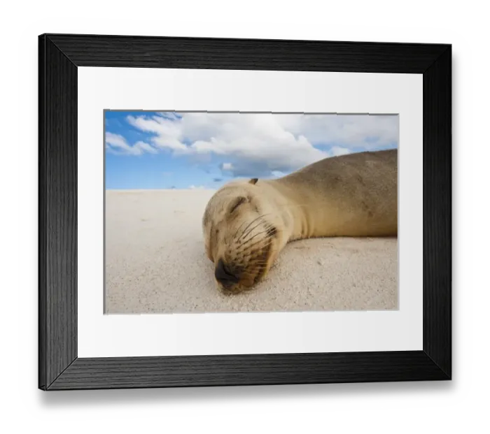 Framed Print : Central America, Ecuador Framed Print : Central America, Ecuador