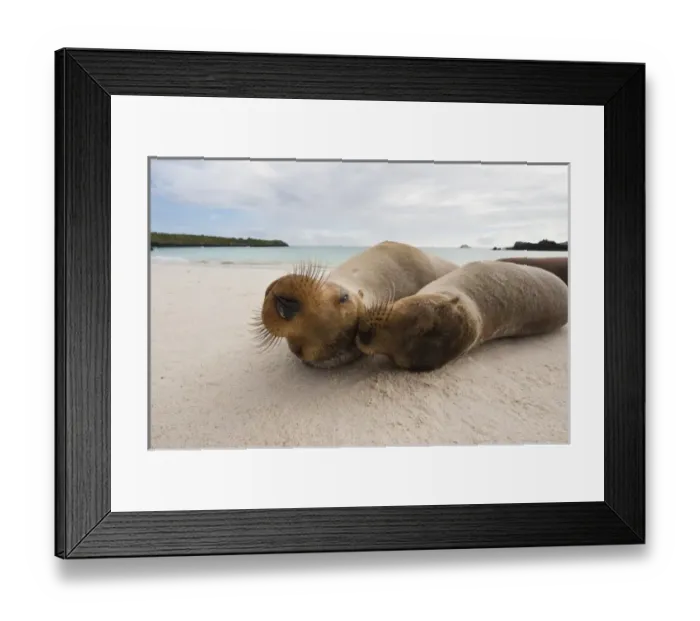 Framed Print : Central America, Ecuador Framed Print : Central America, Ecuador