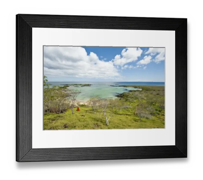 Framed Print : Central America, Ecuador