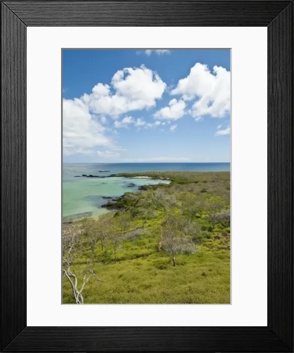 Framed Print : Central America, Ecuador
