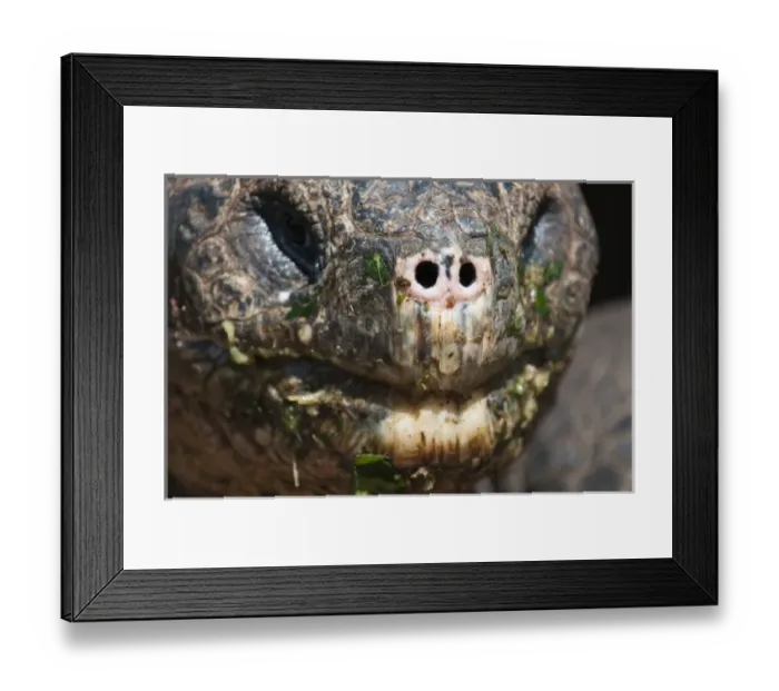 Framed Print : Central America, Ecuador Framed Print : Central America, Ecuador