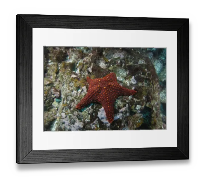 Framed Print : Central America, Ecuador Framed Print : Central America, Ecuador