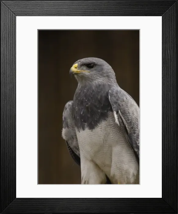 Framed Print : Central America, Ecuador