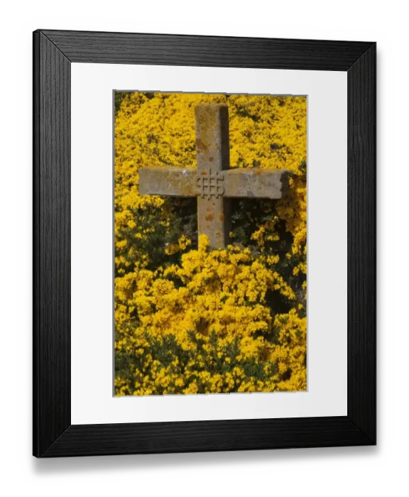 Framed Print : South America, Falkland Islands Framed Print : South America, Falkland Islands