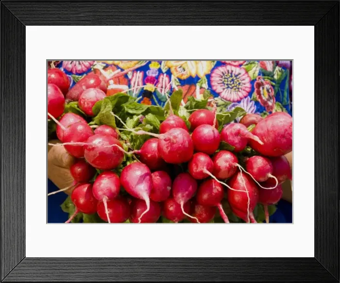 Framed Print : Red radishes from the market in Antigua Guatemala Framed Print : Red radishes from the market in Antigua Guatemala