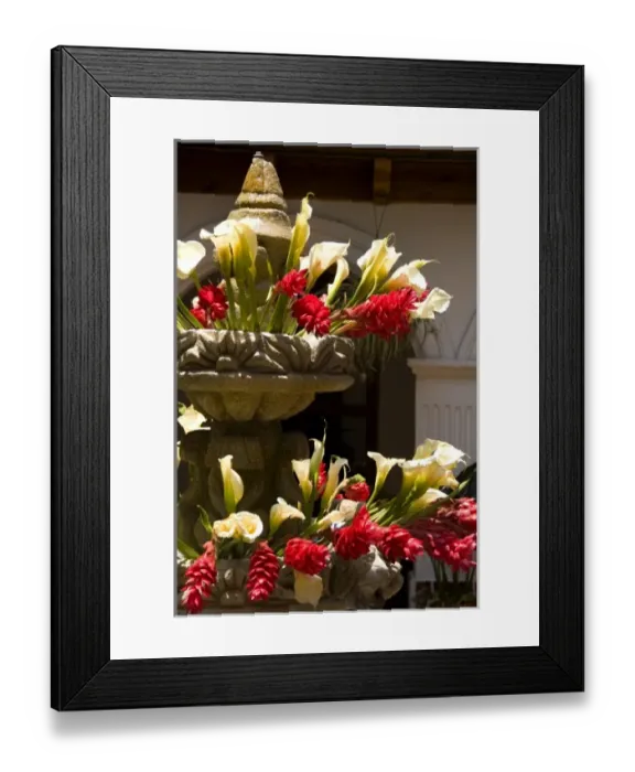 Framed Print : A colorful fountain in the courtyard with flowers located in front of Hotel Colonial