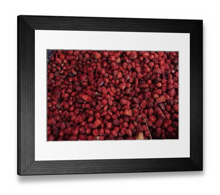 Framed Print : Guatemala, Chichicastenango, folkloristic market, close up of dried chili peppers Framed Print : Guatemala, Chichicastenango, folkloristic market, close up of dried chili peppers